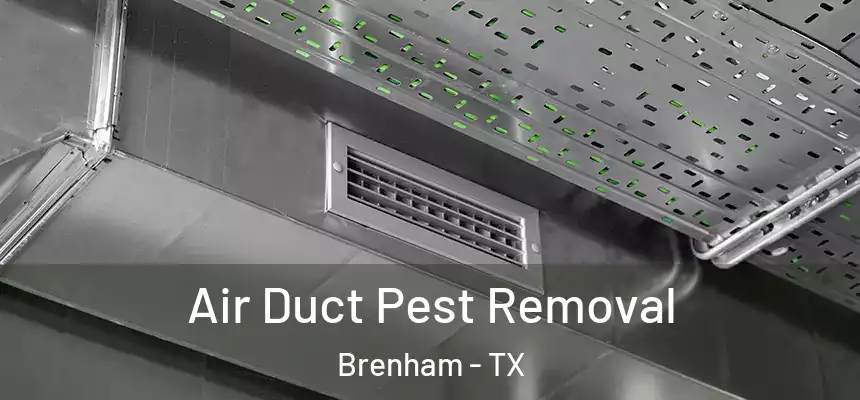 Air Duct Pest Removal Brenham - TX