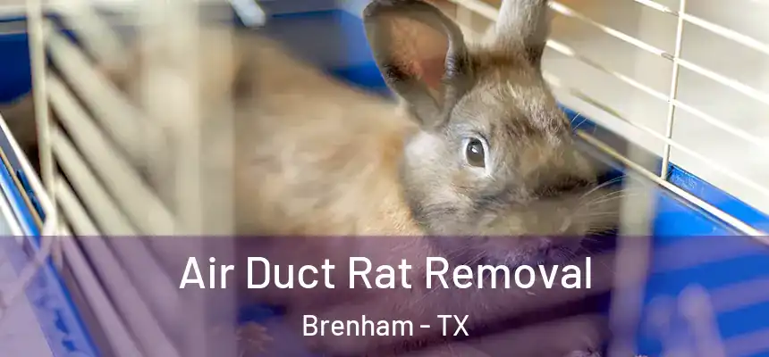 Air Duct Rat Removal Brenham - TX