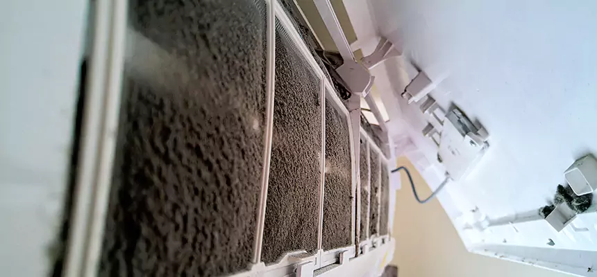 Preventive Air Duct Bacteria Removal in Brenham