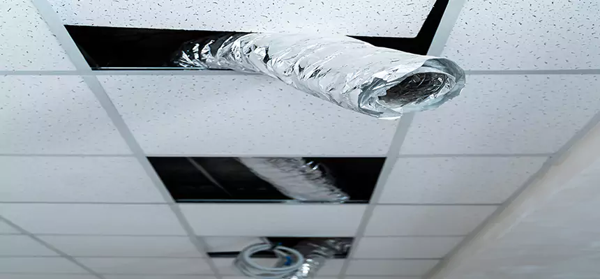 Affordable HVAC Sanitizing After Pest Removal in Brenham