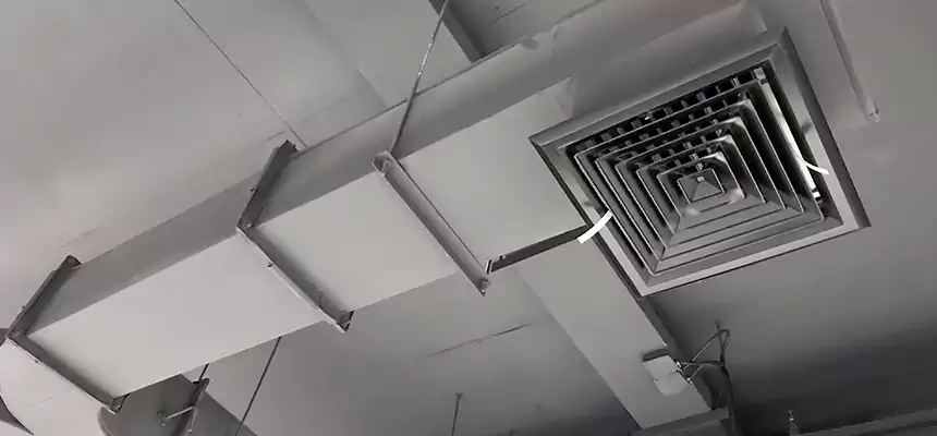 Restorative Allergy Relief Vent Cleaning – Coil, Blower & Housing Detail in Brenham