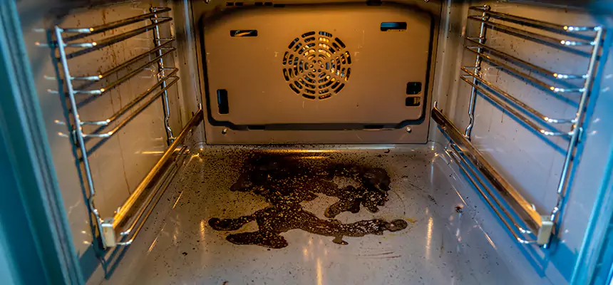 Our Dryer Vent Mold Cleaning Services in Brenham, TX