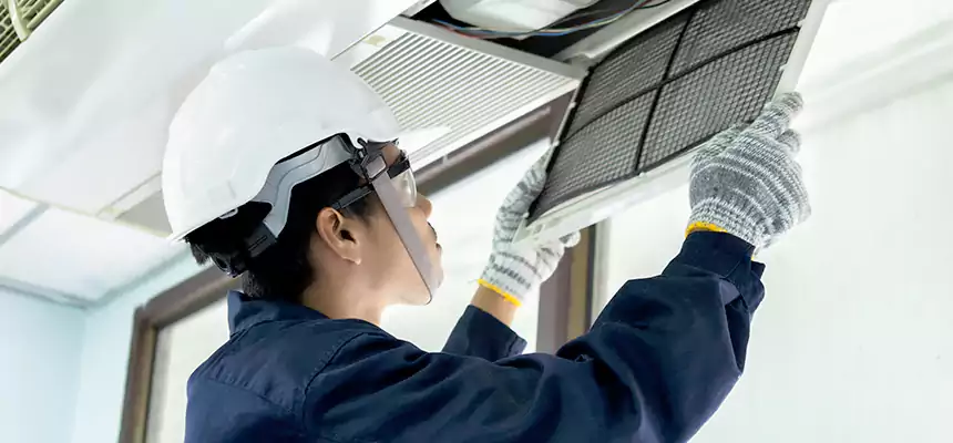 Our Mold & Mildew Removal from Air Ducts Services in Brenham, TX