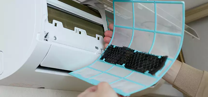 Gentle Ductwork Odor-Control Pet Dander Duct Cleaning in Brenham, TX