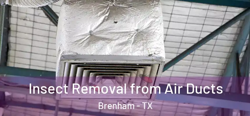  Insect Removal from Air Ducts Brenham - TX