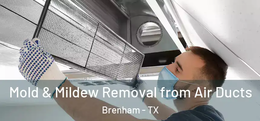  Mold & Mildew Removal from Air Ducts Brenham - TX