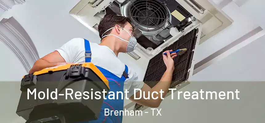  Mold-Resistant Duct Treatment Brenham - TX