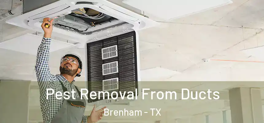 Pest Removal From Ducts Brenham - TX