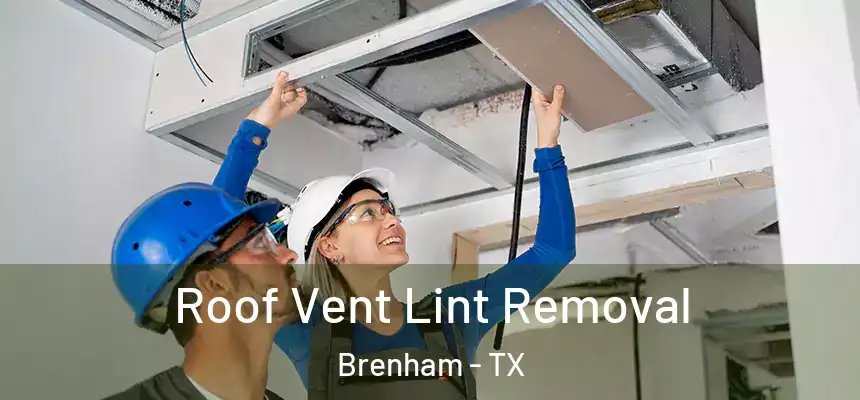 Roof Vent Lint Removal Brenham - TX