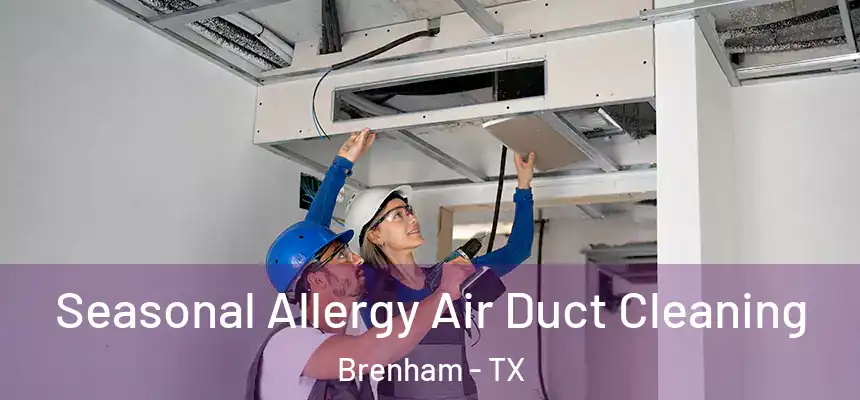 Seasonal Allergy Air Duct Cleaning Brenham - TX