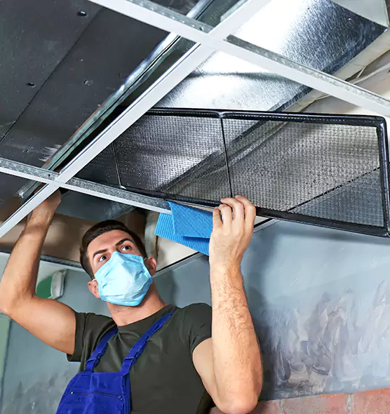 Professional Air Duct Pollen Cleaning in Brenham, TX