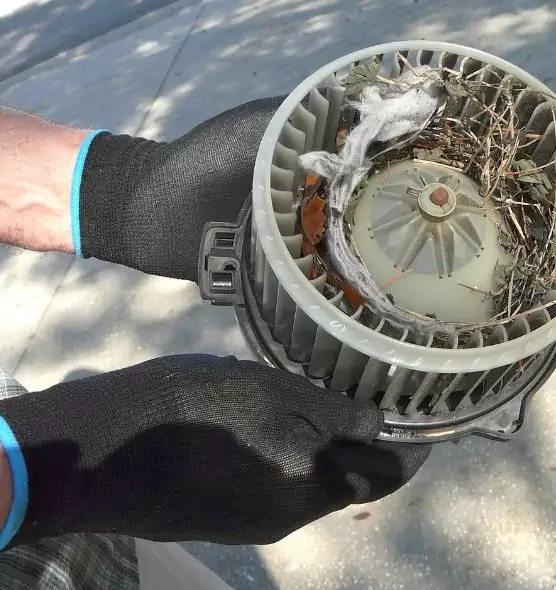 About Air Duct Rat Removal in Brenham, TX