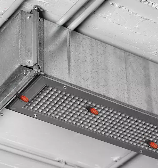 Affordable Insect Removal from Air Ducts in Brenham, TX