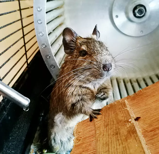 Why Homeowners & Businesses Trust Us Brenham, TX